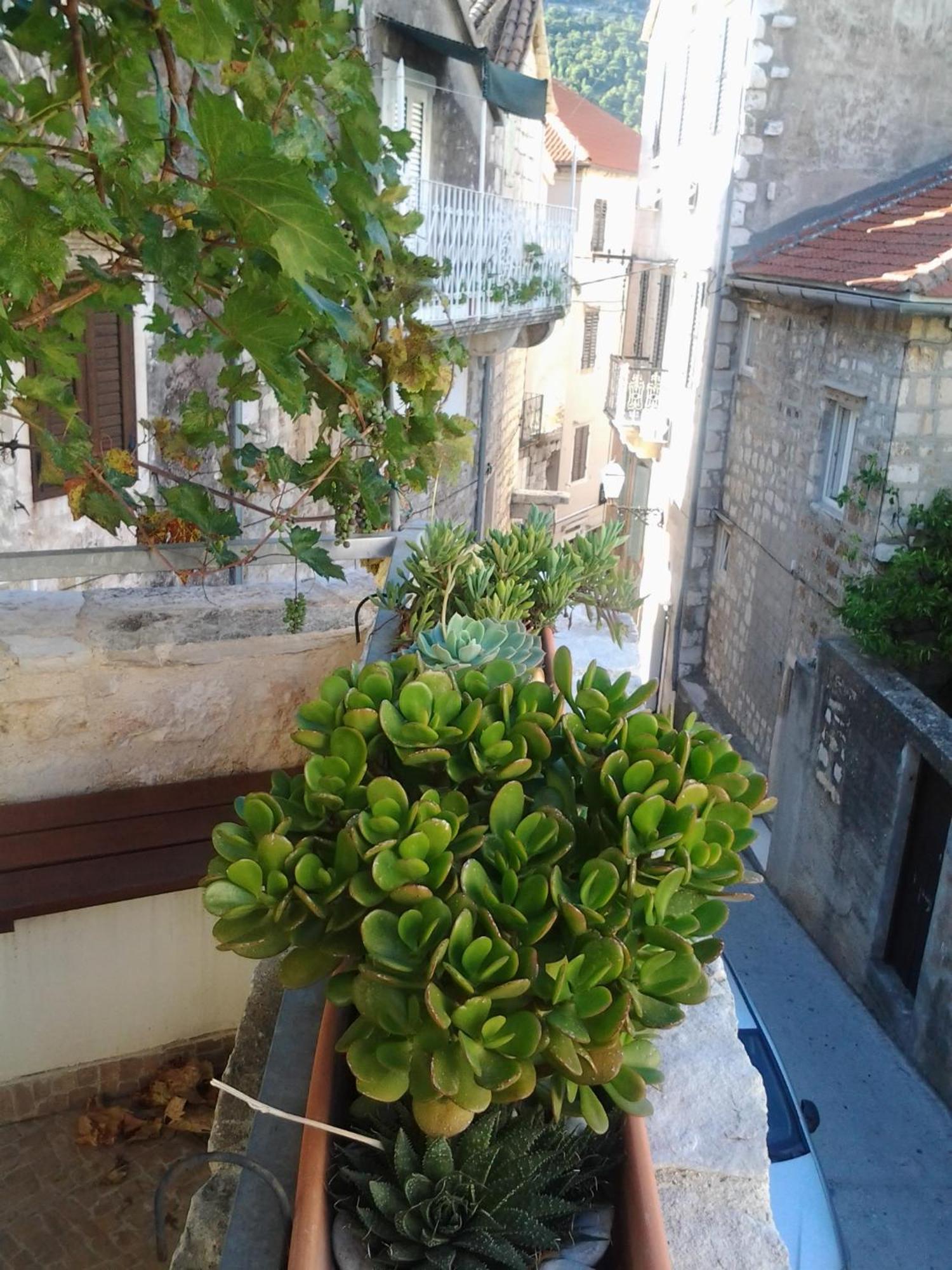 Apartments Donika Komiža Cameră foto