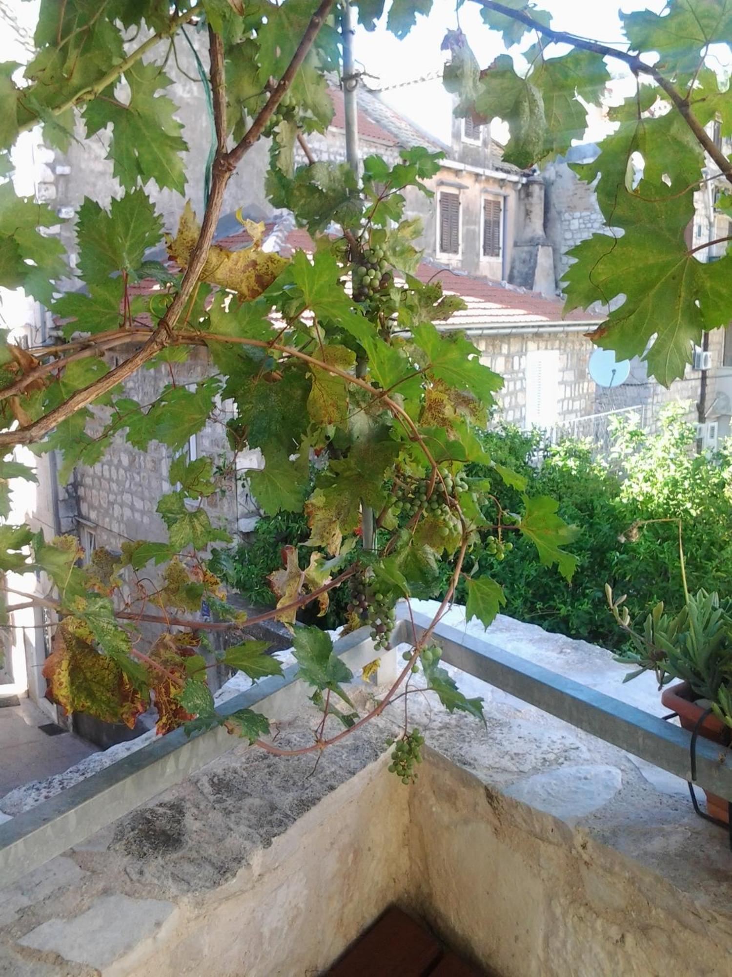 Apartments Donika Komiža Cameră foto